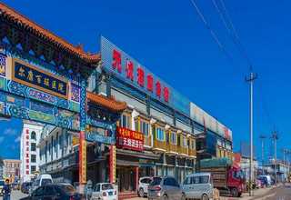 广西大型木片机